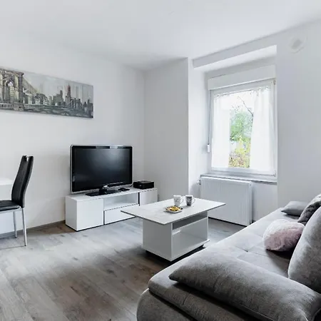 Apartman Comfort Basel Airport 2a46